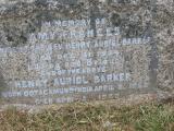 image of grave number 318649